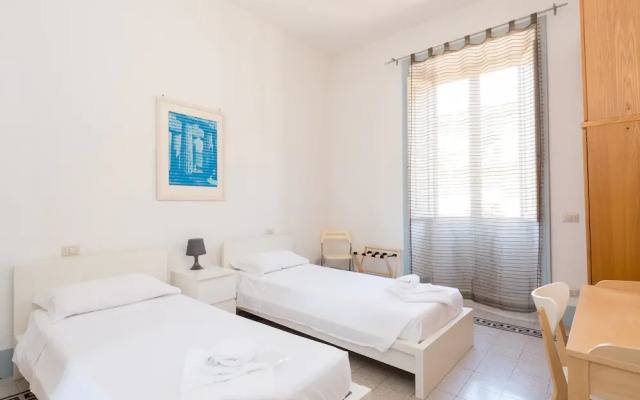 Vatican Comfortable - HOV 51492