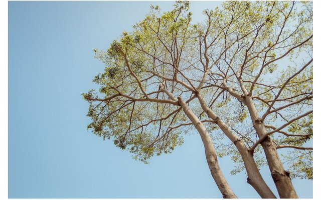 CandyFloss B&B - Kaohsiung