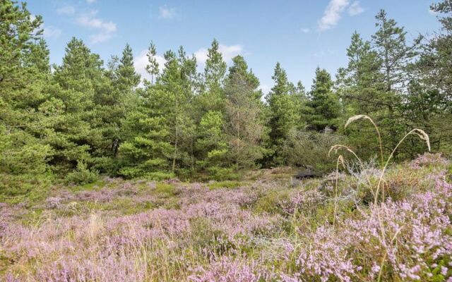 "Cholena" - 2.5km from the sea in Western Jutland