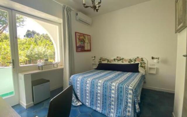 Villa Striano Capri - Guest House - Rooms Garden & Art