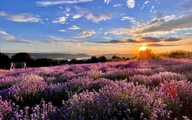 Natura Hill Vendégház és Étterem