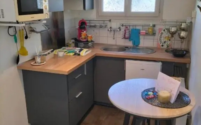 Studio promenade bord de Seine Rouen