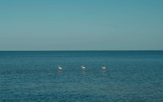 Radisson Blu Palace Resort & Thalasso, Djerba
