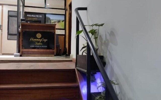 Humming-Cage Studios Suites