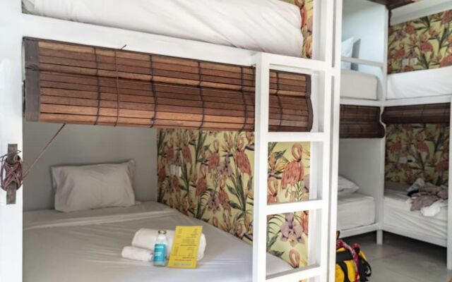Socialista Lifestyle Hostel