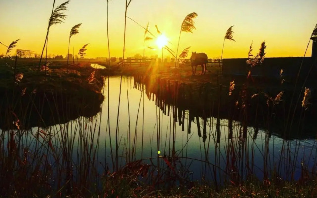 Appartement Saint-Jean-de-Monts, 2 pièces, 4 personnes - FR-1-323-120