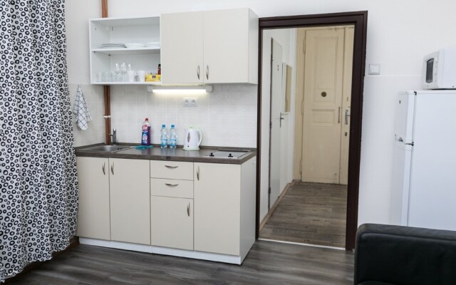 Welcome Apartment on V Tunich