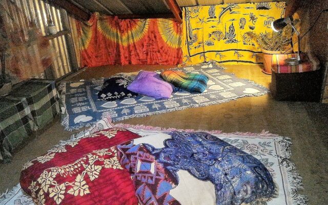 Tribuhaus Backpackers Inn