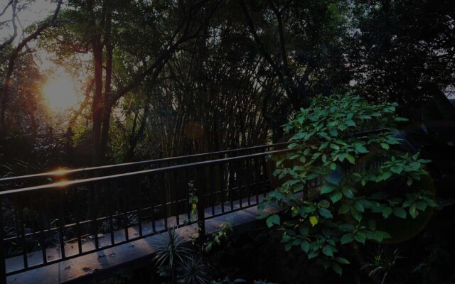 Lost Trail Bed and Breakfast