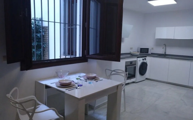 Espacioso dúplex en la Puerta Real