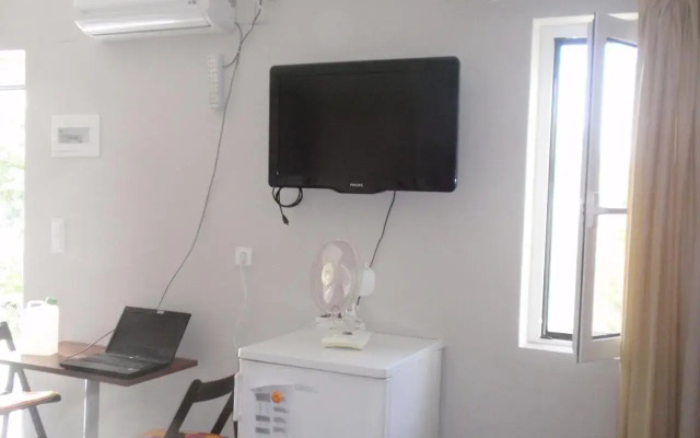 Traditional Studio