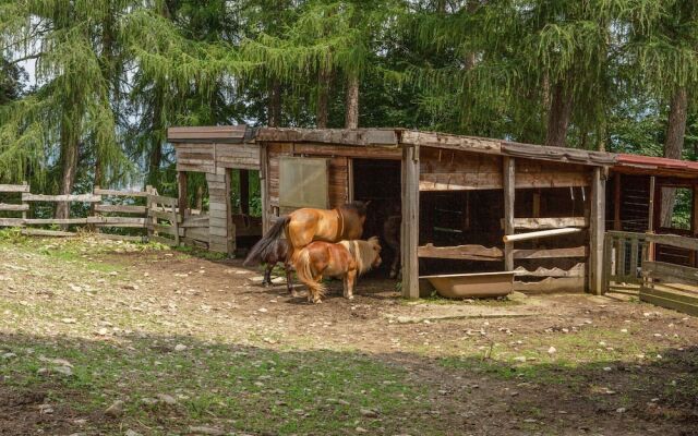 Farmhouse in Verbania With Garden