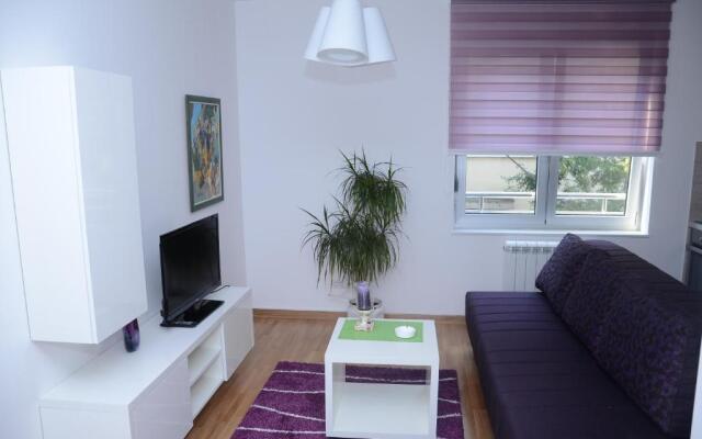 Sekula's City Center Apartment