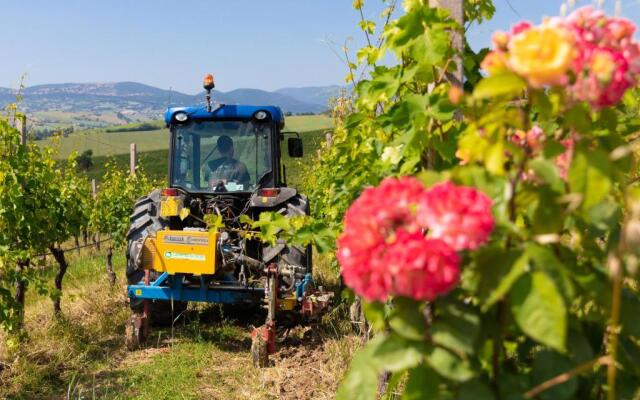 La Guest House della Tenuta di Tavignano