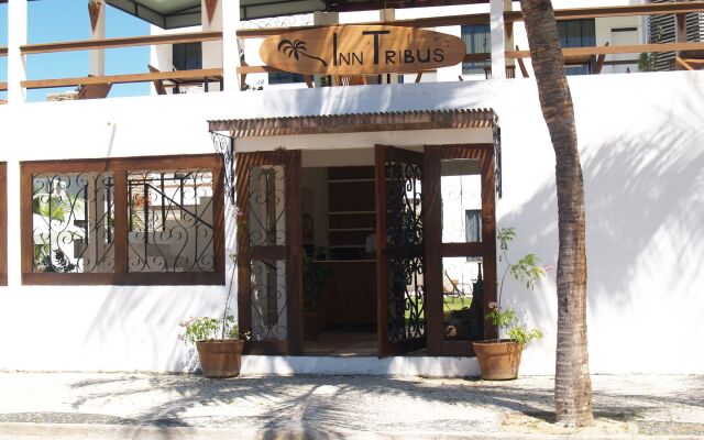 Inn Tribus