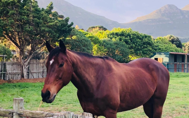 Noordhoek The Lookout