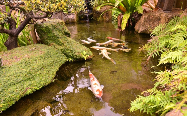 Nago Business Hotel