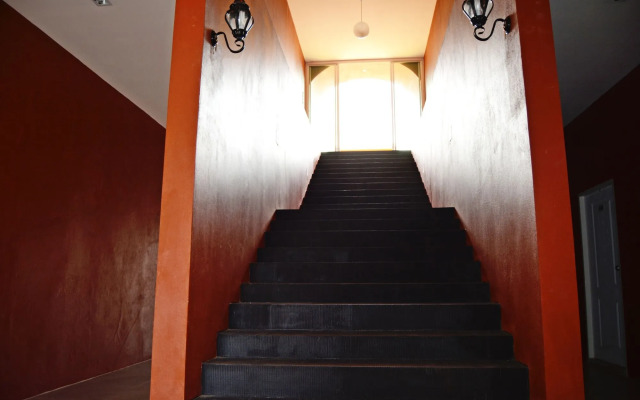 World Cat Hotel & Resort