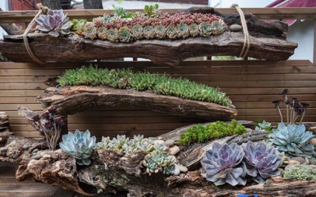 Wuji Moxi Linshui Homestay