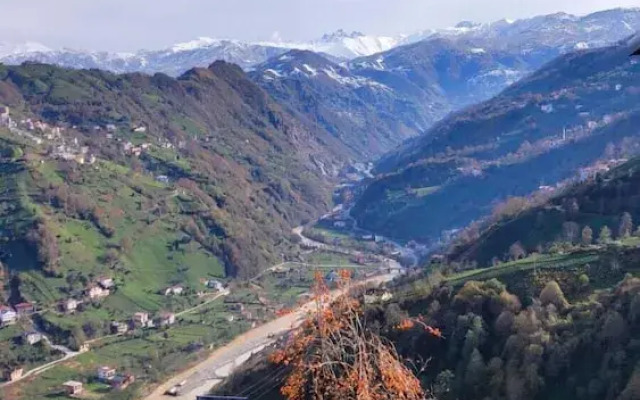 Seyri Alem Suite Bungalow