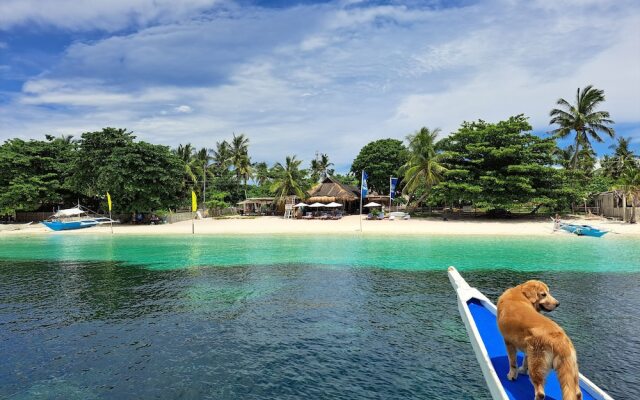 Avila's Horizon Dive Resort