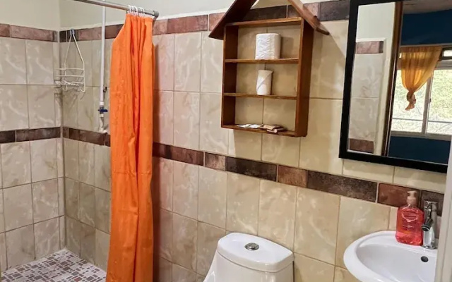 Hostal Oasis The Traveler - Hostel