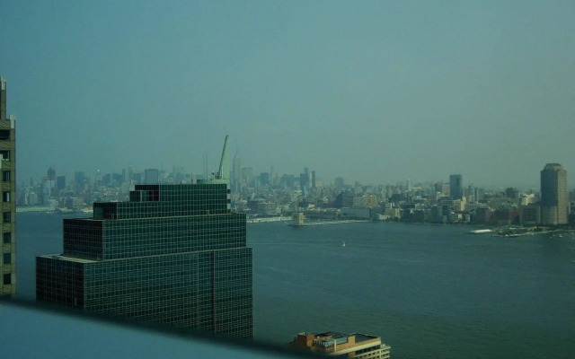 Freedom Manhattan View