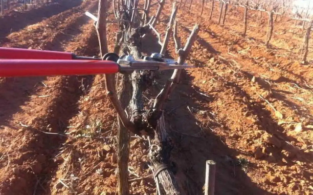 Casa Rural Magnanimus