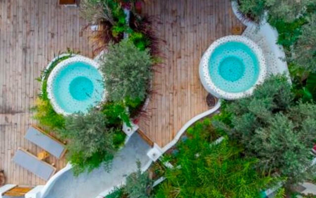 Flamingo Hotel & Spa - Pet Friendly