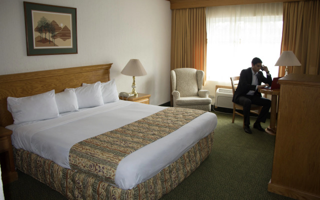 Hotel Sicomoro