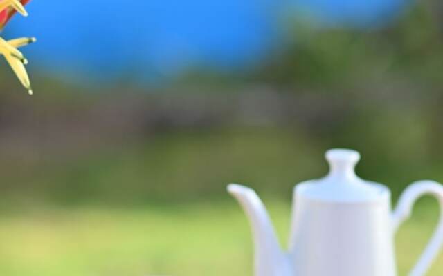 Crystal Paradise Resort, Spa & Winery