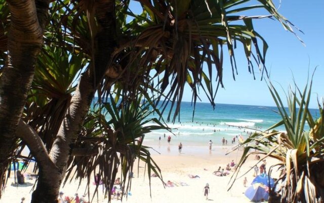 Pacific on Coolum