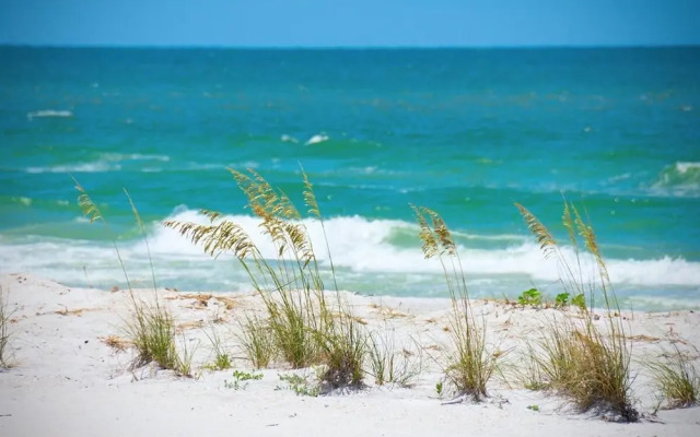 Sea Club #304 - Gone Coastal