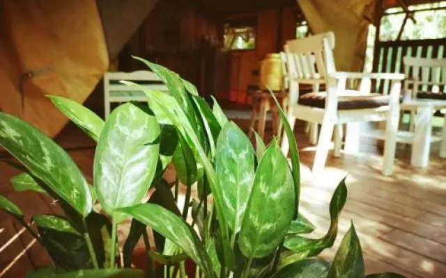 Casa Maya