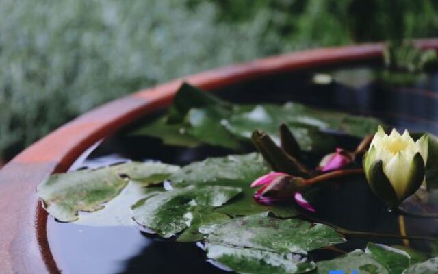 Xiaoyincicheng Shiba Flower Room B&B