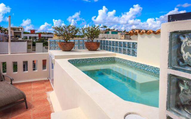 Royal Palms by Bric