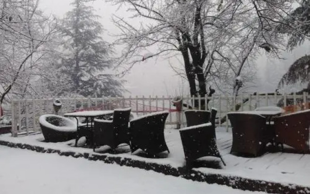 Sashas Hotel