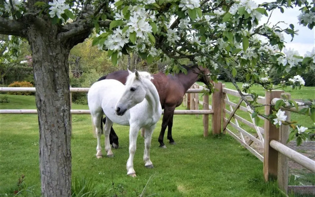 October House Holiday Cabin