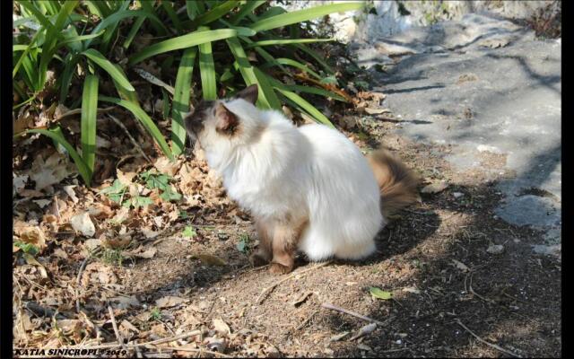 domaine des tilleuls d'or