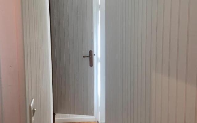 La Jonquille de St Vaast La Hougue