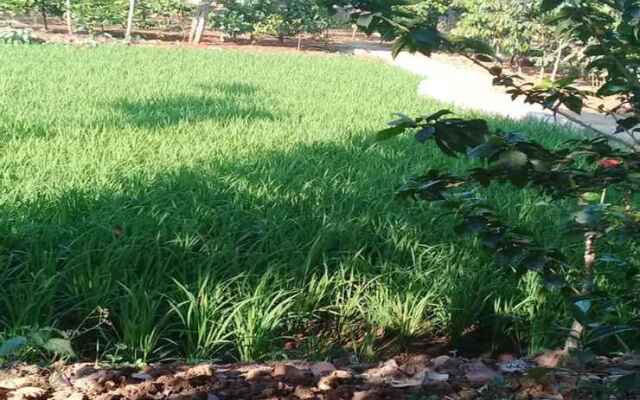 Villa 2 Bedroom at Joglo Java Dua