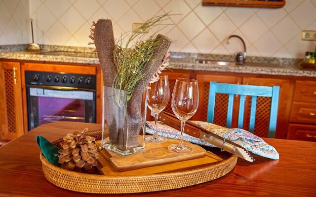 Luxury Las Viñas 1