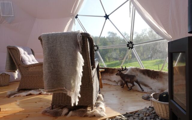 Wild Caribou Dome