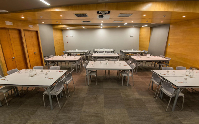Palmetto Hotel Business San Borja