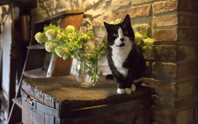 Villa Sestilia Guest House