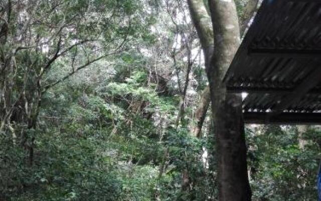 The Green Tree Lodge