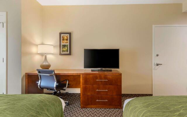 Comfort Inn & Suites Florence Center Area