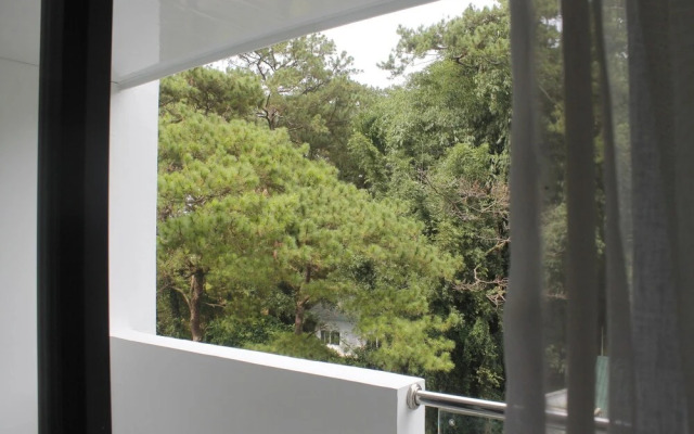 The Plaza Lodge Baguio