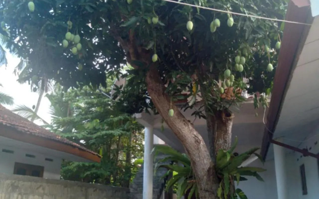 Sanithu Homestay Galle