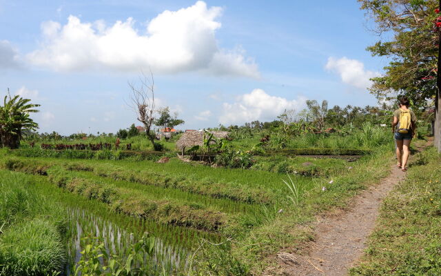 Mimpi Resort Tulamben